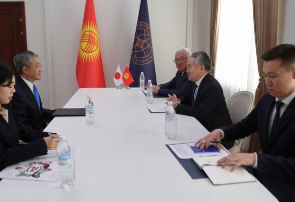 Kyrgyzstan, Japan reaffirm commitment to political and economic co-op