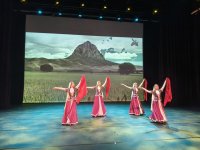 Netherlands hosts enthusiastic celebration for Azerbaijan's Victory Day (PHOTO)