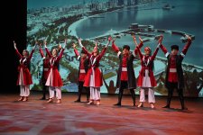 Netherlands hosts enthusiastic celebration for Azerbaijan's Victory Day (PHOTO)