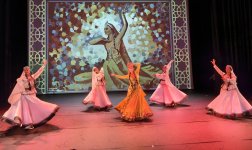 Netherlands hosts enthusiastic celebration for Azerbaijan's Victory Day (PHOTO)