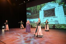 Netherlands hosts enthusiastic celebration for Azerbaijan's Victory Day (PHOTO)