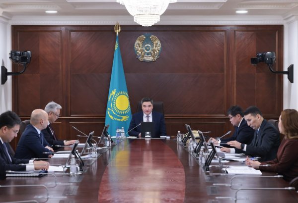 Kazakhstan PM demands results-driven reform at Kazakh Invest