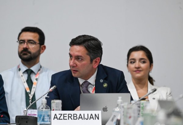 COP29's youth attendance legacy stands model for future summits - lead negotiator (PHOTO)