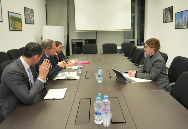 Georgia, France discuss transport cooperation along Middle Corridor