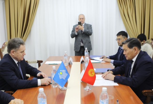Kyrgyzstan invites CIS mission to oversee parliamentary voting