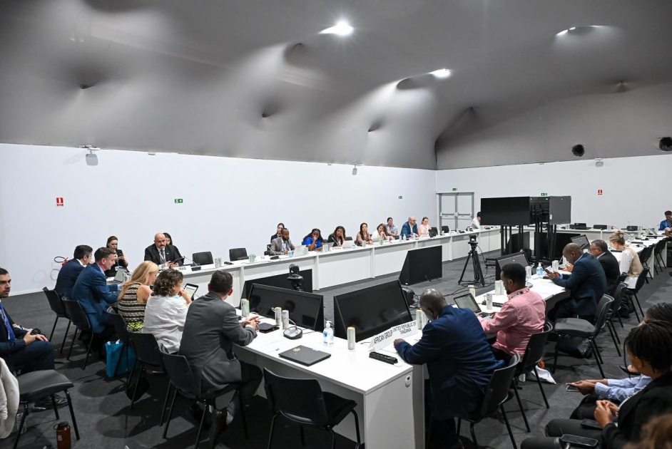 COP29's youth attendance legacy stands model for future summits - lead negotiator (PHOTO)