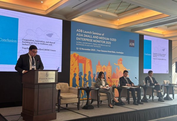 Kyrgyzstan unveils long-term SME development strategy to 2030