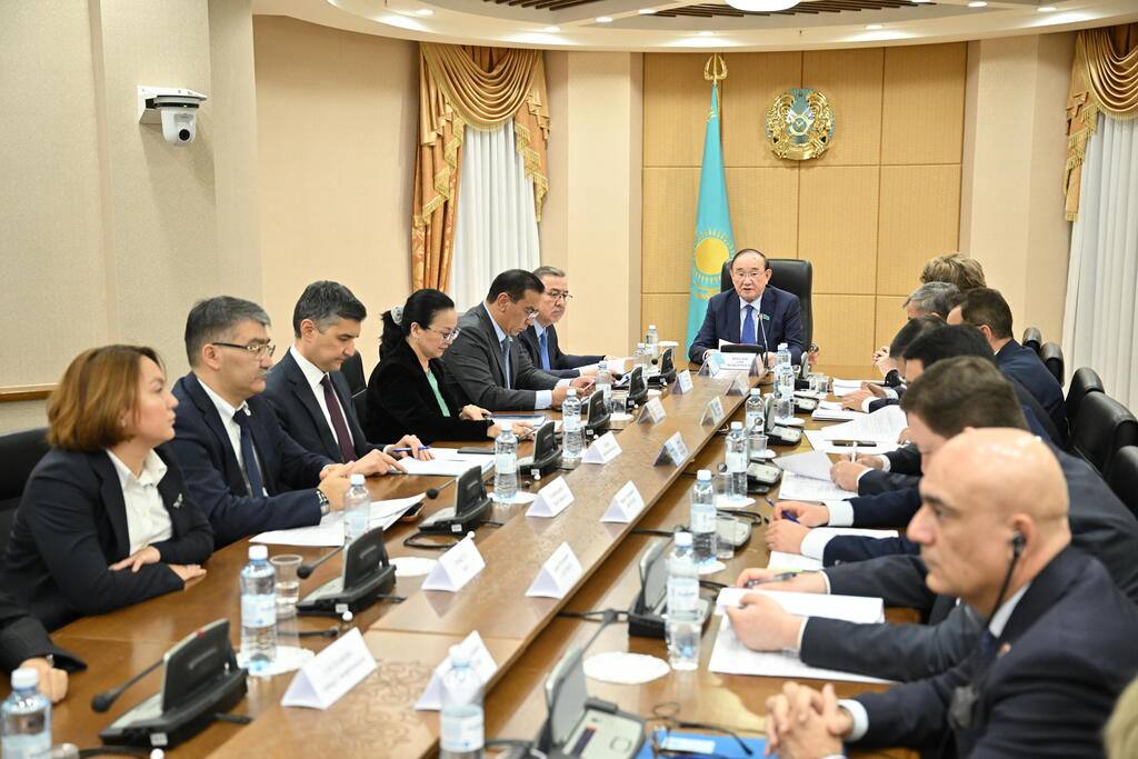 Kazakhstan’s carbon-neutral shift hinges on effective carbon regulations, official says