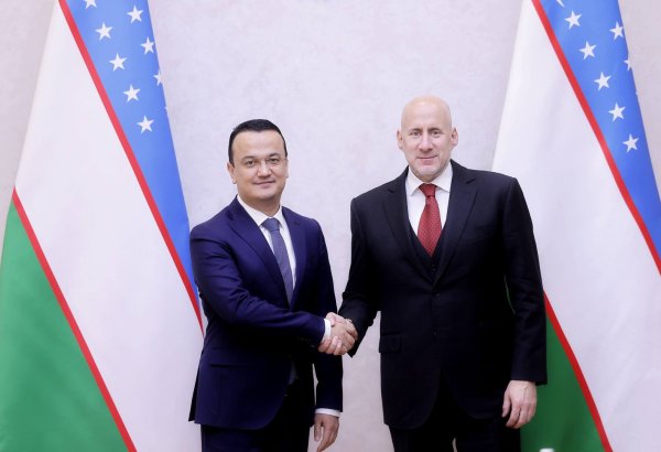 Uzbekistan, Hungary explore joint projects to support digital transformation