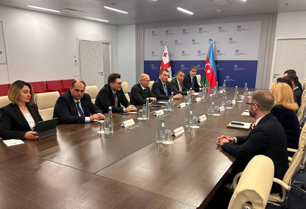 Azerbaijan evaluates SOCAR's investments in Georgia
