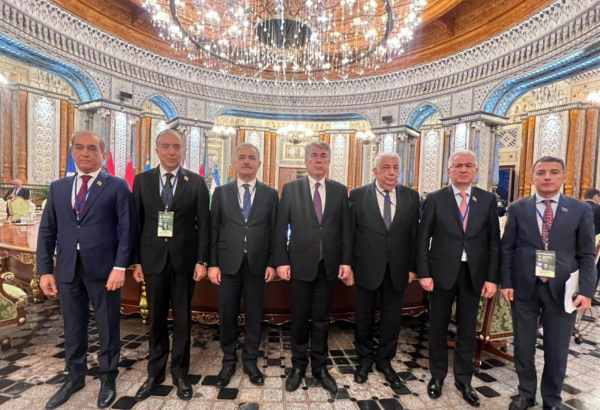 Azerbaijani Parliament delegation participates in key meetings of CIS PA