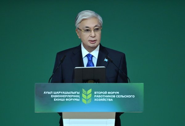 Kazakhstan's agricultural sector experiences significant growth over decade, Tokayev says