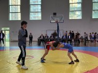 Georgia hosts wrestling tournament dedicated to Azerbaijan's Victory Day (PHOTO)