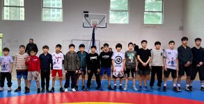 Georgia hosts wrestling tournament dedicated to Azerbaijan's Victory Day (PHOTO)