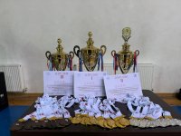 Georgia hosts wrestling tournament dedicated to Azerbaijan's Victory Day (PHOTO)