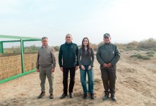 Heydar Aliyev Foundation VP Leyla Aliyeva joins environmental campaign in Mingachevir (PHOTO)