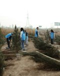 Heydar Aliyev Foundation VP Leyla Aliyeva joins environmental campaign in Mingachevir (PHOTO)