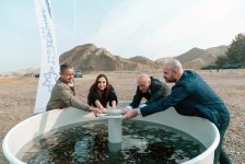 Heydar Aliyev Foundation VP Leyla Aliyeva joins environmental campaign in Mingachevir (PHOTO)