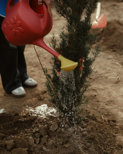 Heydar Aliyev Foundation VP Leyla Aliyeva joins environmental campaign in Mingachevir (PHOTO)