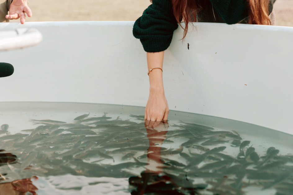 Heydar Aliyev Foundation VP Leyla Aliyeva joins environmental campaign in Mingachevir (PHOTO)