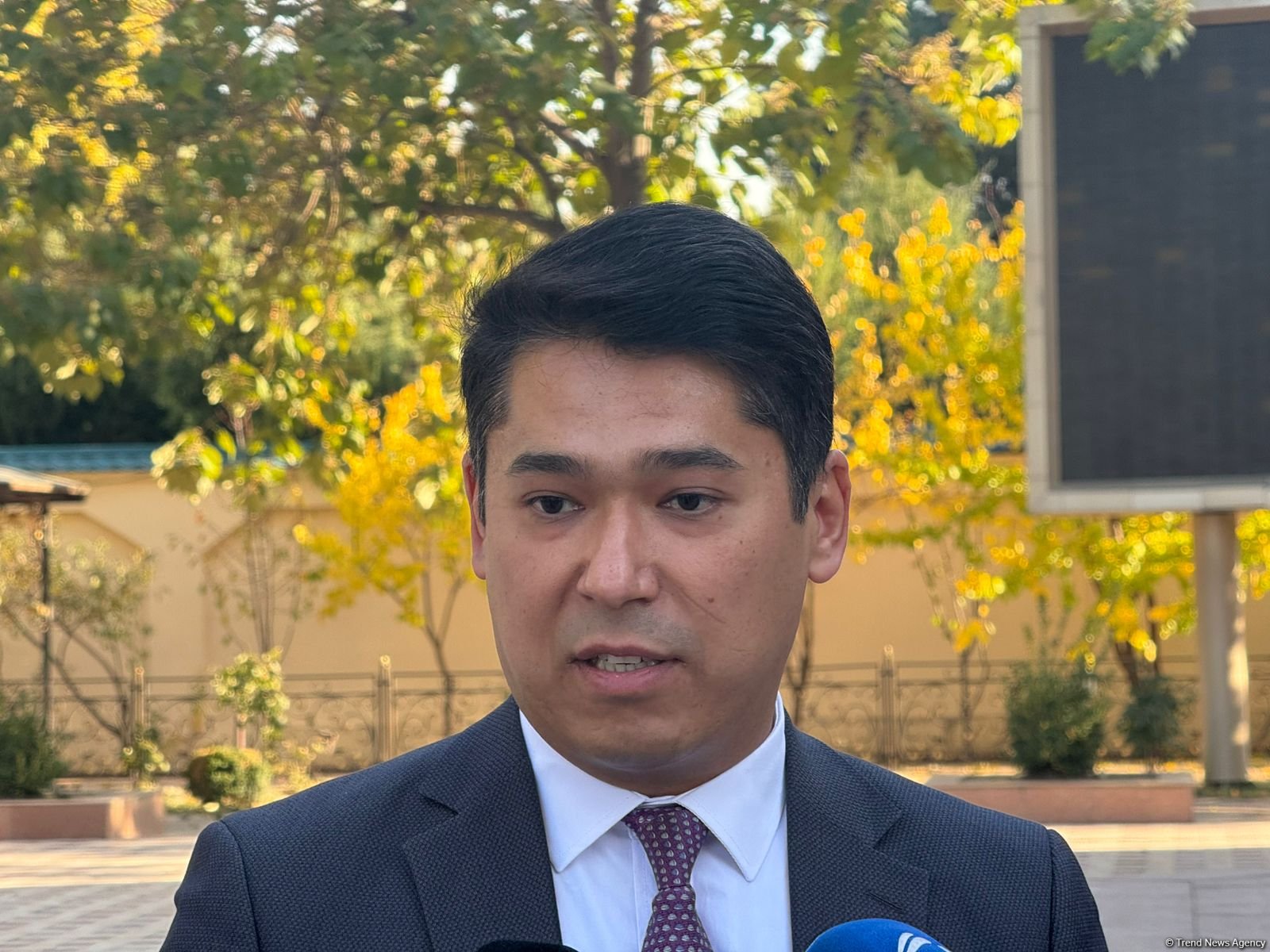 Uzbek expert predicts imminent expansion of "Azerbaijan-Central Asia" green energy corridor