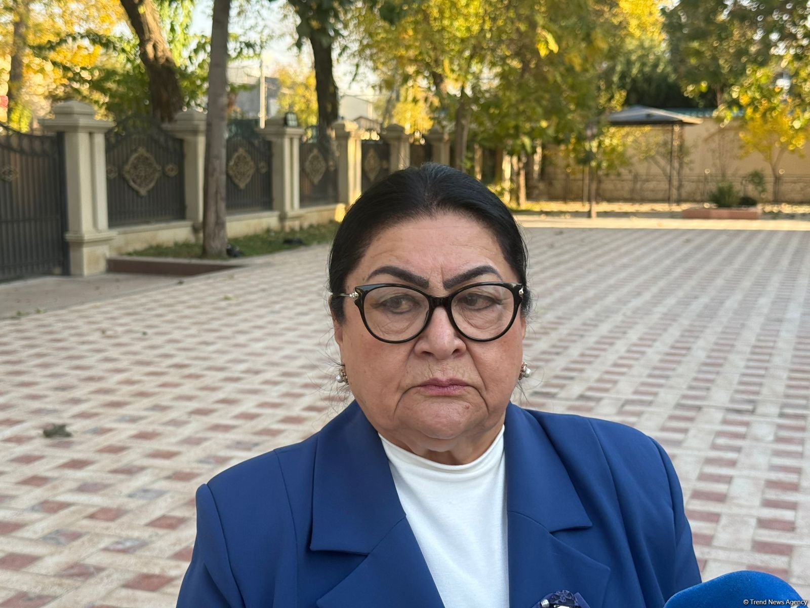 Cooperation strategy of Presidents of Azerbaijan and Uzbekistan can become example for entire world - view from Tashkent