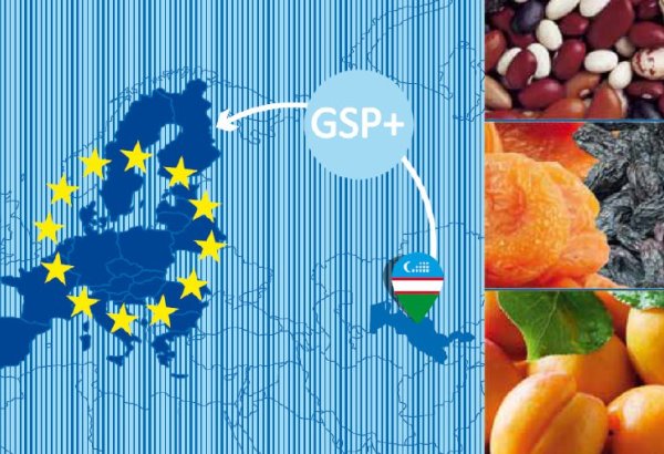 Uzbekistan, GIZ unveil practical guides to unlock EU GSP+ export potential