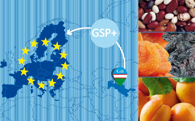 Uzbekistan, GIZ unveil practical guides to unlock EU GSP+ export potential