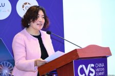 Azerbaijan's Baku hosts 'Chinese Visitors Summit' (PHOTO)