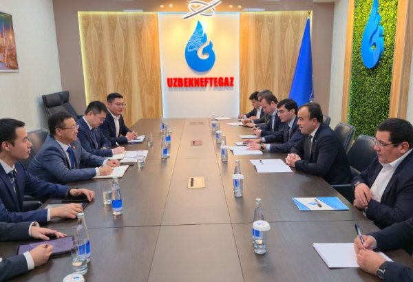 Uzbekistan, China expand cooperation in oil and gas sector