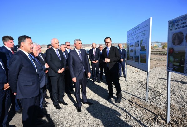 Coordination Headquarters inspects farmland plots in Azerbaijan's Aghalı village (PHOTO)