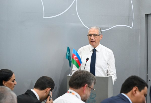 Azerbaijan leads high-level event on Caspian Sea level decline at COP30 (PHOTO)