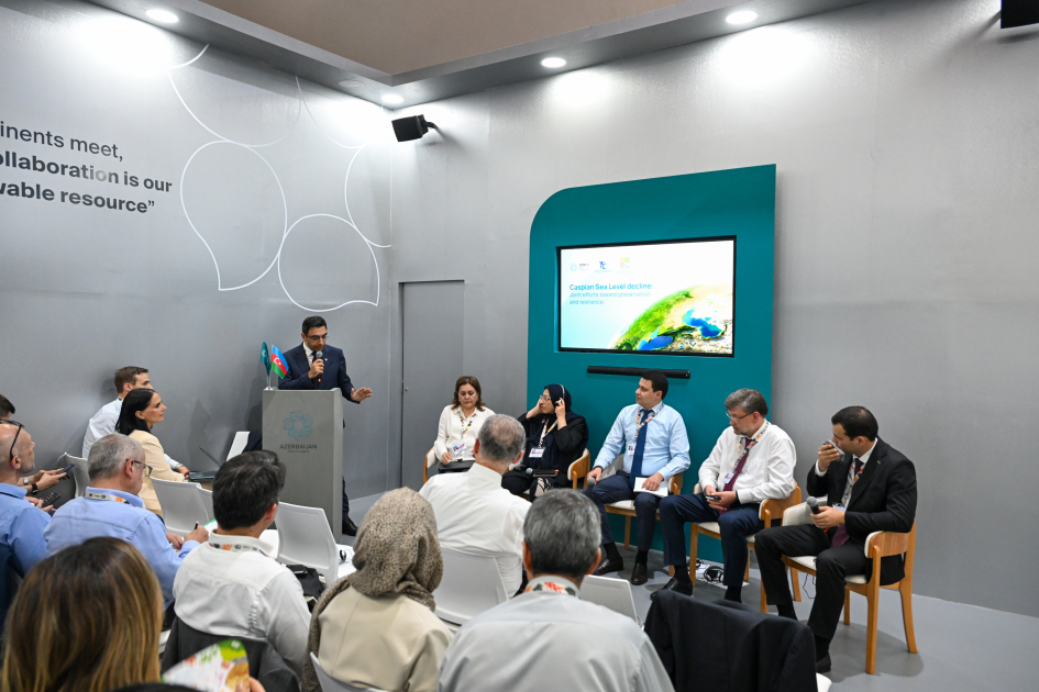 Azerbaijan leads high-level event on Caspian Sea level decline at COP30 (PHOTO)
