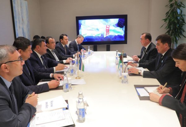 Uzbekistan and Turkmenistan turn spotlight on new energy co-op goals