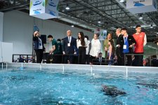 Vice-President of Heydar Aliyev Foundation Leyla Aliyeva visits International STEAM Azerbaijan Festival 2025 (PHOTO)