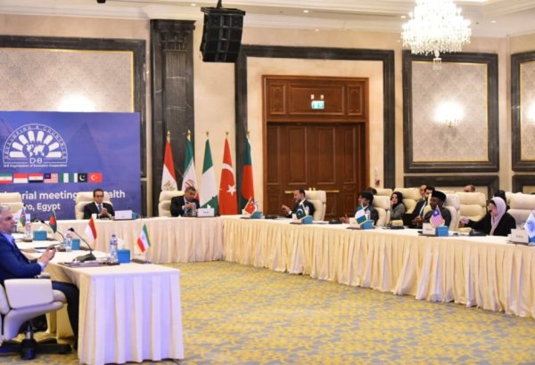 Azerbaijan joins D8 health ministers' conference in Cairo (PHOTO)