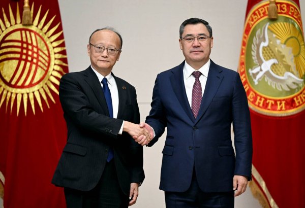 ADB ready to support Kyrgyz green energy and transport projects, President Kanda says