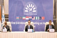 Azerbaijan joins D8 health ministers' conference in Cairo (PHOTO)