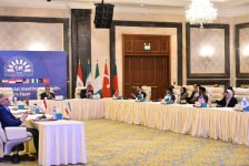 Azerbaijan joins D8 health ministers' conference in Cairo (PHOTO)