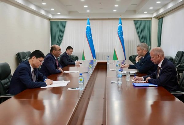Uzbekistan, UK explore new opportunities to deepen bilateral cooperation