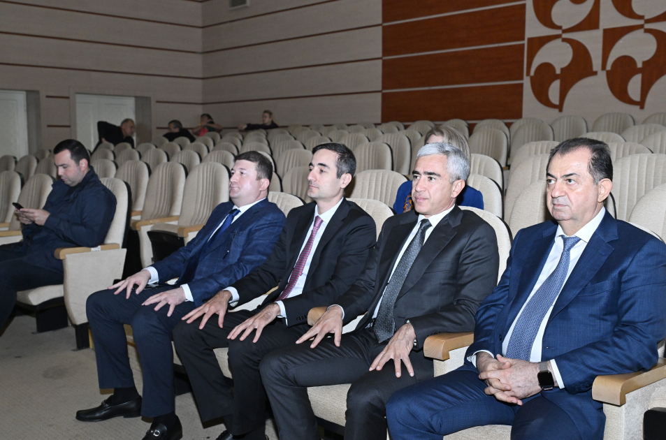 Azerbaijan's Lankaran hosts ANIMAFILM Festival (FOTO)