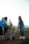 Leyla Aliyeva, Arzu Aliyeva, and Alena Aliyeva participate in ecological actions in Lankaran (PHOTO)