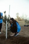 Leyla Aliyeva, Arzu Aliyeva, and Alena Aliyeva participate in ecological actions in Lankaran (PHOTO)