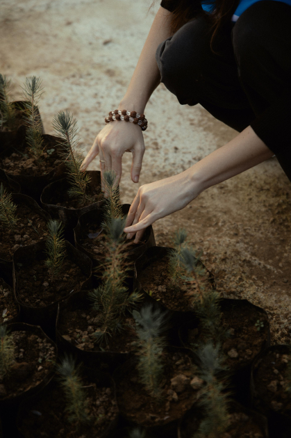 Leyla Aliyeva, Arzu Aliyeva, and Alena Aliyeva participate in ecological actions in Lankaran (PHOTO)