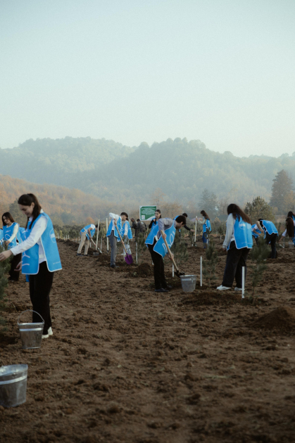 Leyla Aliyeva, Arzu Aliyeva, and Alena Aliyeva participate in ecological actions in Lankaran (PHOTO)