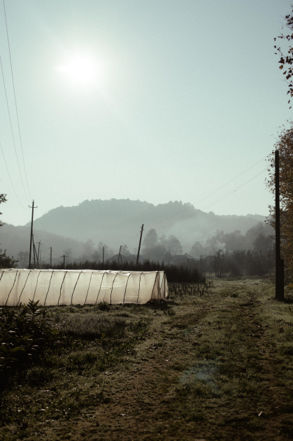 Leyla Aliyeva, Arzu Aliyeva, and Alena Aliyeva participate in ecological actions in Lankaran (PHOTO)