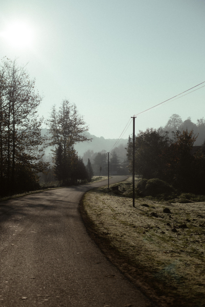 Leyla Aliyeva, Arzu Aliyeva, and Alena Aliyeva participate in ecological actions in Lankaran (PHOTO)