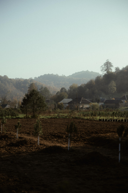 Leyla Aliyeva, Arzu Aliyeva, and Alena Aliyeva participate in ecological actions in Lankaran (PHOTO)