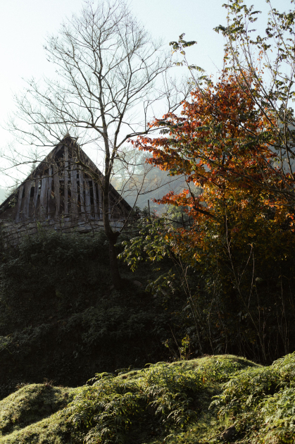 Leyla Aliyeva, Arzu Aliyeva, and Alena Aliyeva participate in ecological actions in Lankaran (PHOTO)