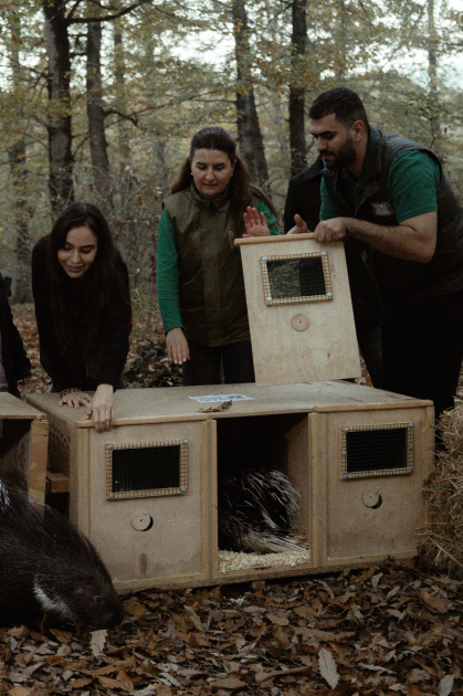 Leyla Aliyeva, Arzu Aliyeva, and Alena Aliyeva participate in ecological actions in Lankaran (PHOTO)